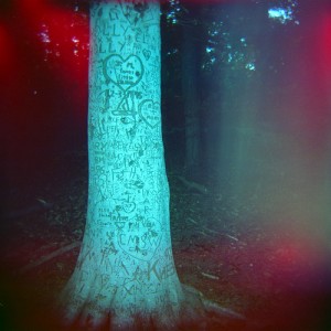 carved tree